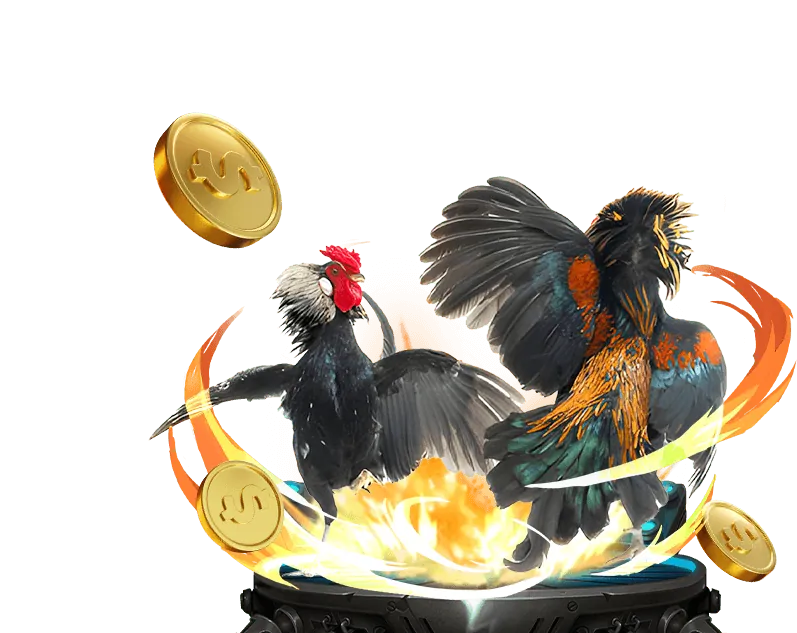 Đá gà tre truyền thống